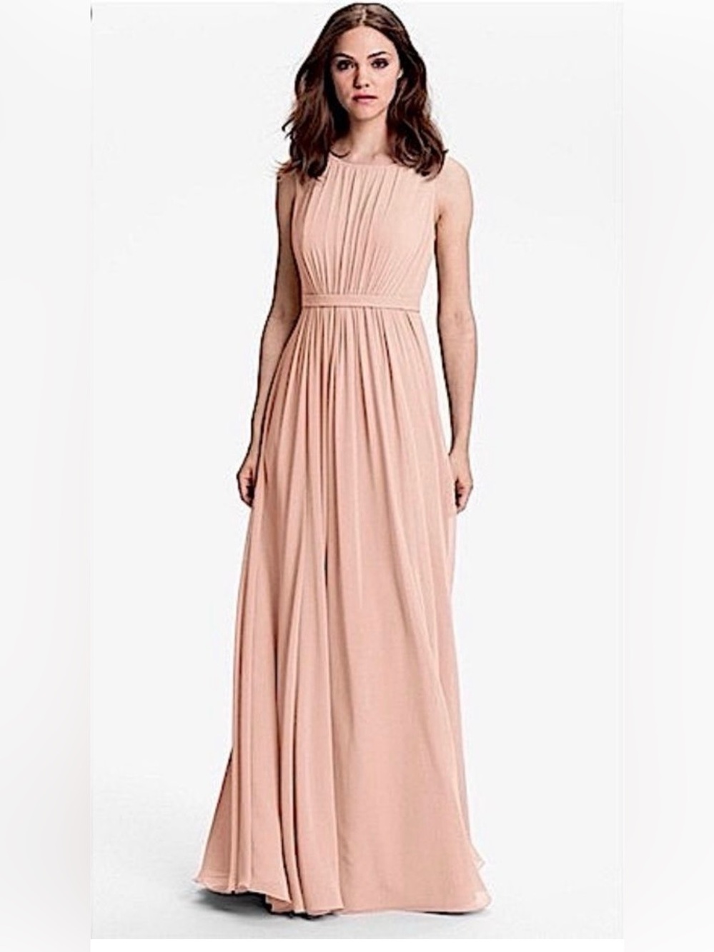 JENNY YOO BRIDESMAID MAXI DRESS VIVIENNE LONG CHIFFON GOWN Wedding Prom 4 - Picture 1 of 16
